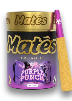 Muha Meds Purple Punch Pre Roll | Sativa - Muha Meds USA